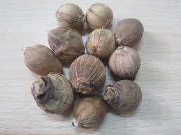 Information on experience about goddess lakshmi palam siri sampadalu